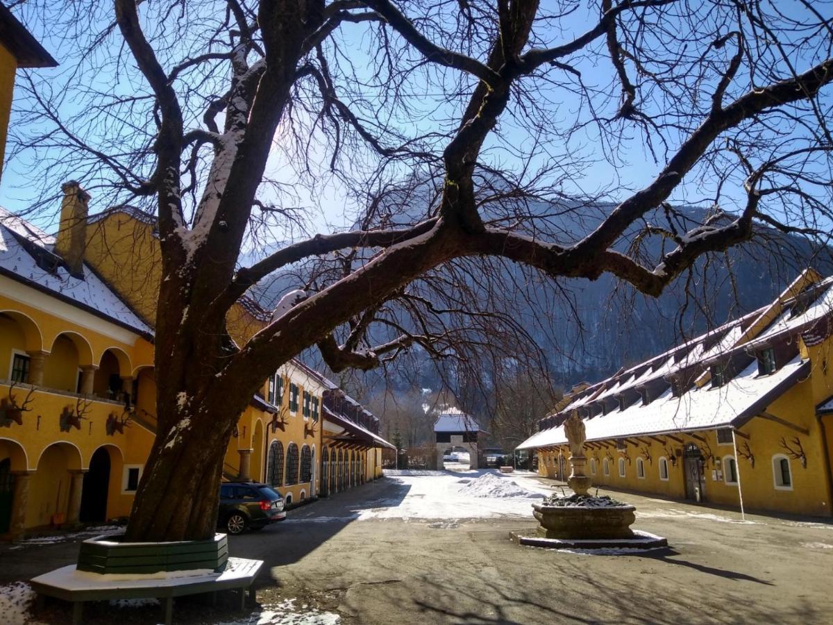 Gaestewohnung Schlossblick Grodig Bagian luar foto